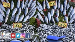 FISHERMEN IN EDİRNE ARE GETTING READY TO SAY "VIRA BISMILLAH" (A TRADITIONAL TURKISH INDIVIDUAL'S...