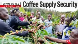 Japan seeks win-win in African coffee projectーNHK WORLD-JAPAN NEWS