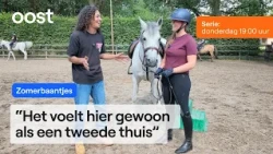 Loïs (17) chooses horses over a paycheck | RTV Oost