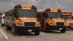 Passing stopped school buses could cost drivers up to $1,250 and their license, NISD police say