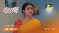 Meghasandesam | గగన్ ని విడిపించటానికి భూమి  ప్లాన్ సక్సెస్ అయ్యిందా..?