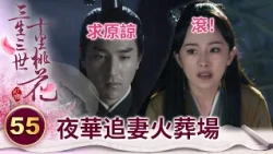 追妻火葬場！女帝恢復前世記憶要退婚 高冷太子在大雨中苦等7天7夜 只為求得老婆原諒【三生三世十里桃花】精華 EP55-6 楊冪、趙又廷、迪麗熱巴、高偉光、張智堯 @ctvdrama_classic