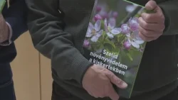 Vegyszerek helyett természetes megoldások