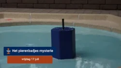 The Wading Pool Mystery: Bovenkerk Pool Already Open and the Rest to Follow Soon