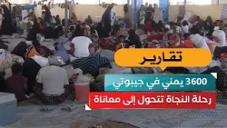 3,600 Yemenis in Djibouti: A Journey for Survival Turns into Suffering!
