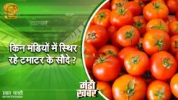 Mandi News: In which markets did tomato prices remain stable? | DD Kisan | 09/10/2026