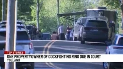Property owner connected to cockfighting case due in court
