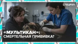 Pet Vaccines: What Is Safe? | Special Report