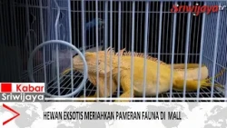 Exotic Animals Enliven Fauna Exhibition at the Mall