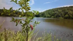 Latest News | Sheriff's office continues investigation into fatal Booneville Lake crash