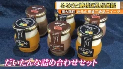 【地元の柑橘で絶品スイーツ】南大隅町のたんかんと辺塚だいだいを使った手作りスイーツ「だいたんな詰め合わせセット」～ふるさと納税返礼品図鑑・南大隅町～