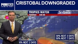 Cristobal downgraded