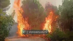 25 vatra zjarresh në 24 orë, 5 prej tyre ende aktive, situata më e vështirë në Krujë dhe Pukë