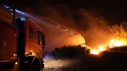 Maxi incendio nel sud della Francia: vigili del fuoco in azione