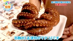 Catch-up Stream【Look For! Miyagi】The Allure of Minamisanriku, Miyagi: Shizugawa Octopus