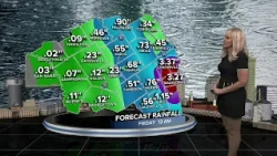 The Remnants of Edouard provide better rain chances