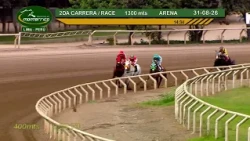Hipódromo Monterrico - 2da Carrera  31 Agosto 26