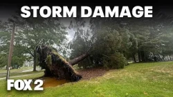Severe weather aftermath | Metro Detroit torn up by storms, tornado warnings