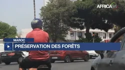 Maroc : 17 000 hectares de forêts dégradés par an