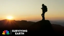 Life Always Endures | Surviving Earth | NBC