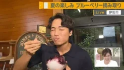 [Blueberry Picking Experience] A Great Summer Vacation Activity! Fresh Blueberry Juice and Shaved...