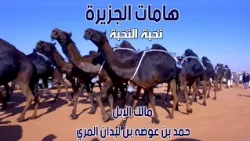 مسيرة نخبة النخبة | مالك الإبل / حمد بن عوضه بن لبدان المري ( هامات الجزيرة 2020 )