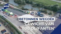 Concrete road deck placed on Wippolderlaan