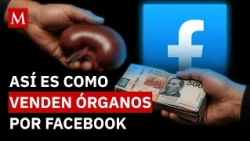 "I don't donate, everything has a price": the black market for organs growing in Facebook groups