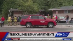 Massive tree falls on apartments in south St. Louis County