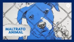 Animal Abuse | #Trending