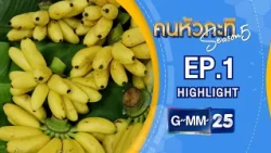 กล้วยไข่ลูกเล็กๆ จะสร้างโอกาสใหญ่ให้คนกำแพงเพชรได้อย่างไร? | Highlight EP.1 คนหัวกะทิ SS5