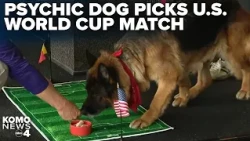 Psychic dog predicts winner of Team USA v. Belgium before Seattle's final World Cup match
