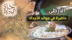 يوم كامل في قلب الصحراء.. طقوس البادية من جمع الأرطى إلى فنجال القهوة | حياة البادية