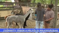 Zsóparty - tábor a Pálföldi Majorságban