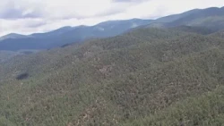 New Mexico wildlife experts share insight on ‘Roadless Rule’ being repealed