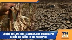 CONRED declares national orange alert due to drought with damage in 138 municipalities