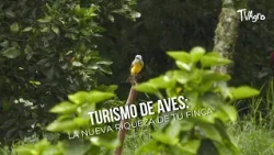 Bird Tourism: The New Wealth of Your Farm - TVAgro by Juan Gonzalo Angel