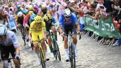 Tour de France: Mathieu van der Poel wins legendary final stage • FRANCE 24 English