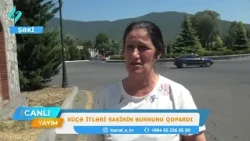 Şəkidə küçə itləri sakinin burnunu dişləyərək qoparıb