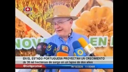 In Portuguesa, 30,000 hectares of sorghum growth projected within two years