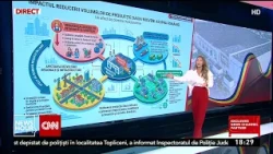 The Impact of Reduced Dacia Mioveni Production Volumes on Romania