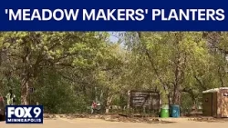 ‘Meadow Makers’ group tends to plants at Theodore Wirth Park