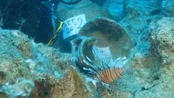 У берегов Турции в Средиземном море обнаружено старейшее кораблекрушение