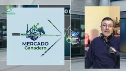 Infotres Central - 05/08/26 - Block 04