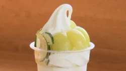 RNC news every. [Chugoku-Shikoku Seasonal Picks] Seasonal Fruit x Soft Serve Ice Cream - Aired 08...
