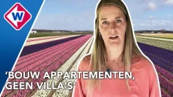 Jarenlange discussie in Bollenstreek: bouwen of bollen?