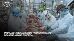MAPA adota novas regras para exportação de carne à União Europeia