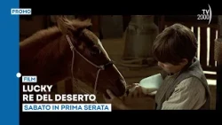 "Lucky, King of the Desert", Saturday, August 22nd in primetime on TV2000