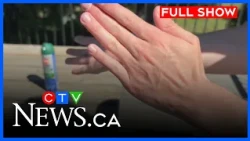 Edmonton seeing record mosquito levels | CTV News Edmonton at Six for July 24, 2026