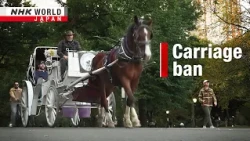 Horse carriage ban in New York's Central ParkーNHK WORLD-JAPAN NEWS